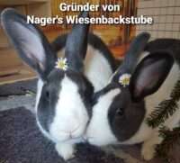 Nagerfutter Schweiz -Kaninchen